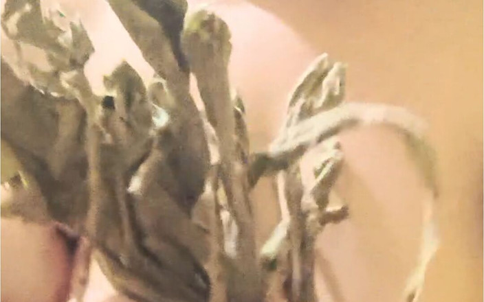 HerculesnVENUS: I'm in a Nudist Colony Getting Plants I'm Such a...