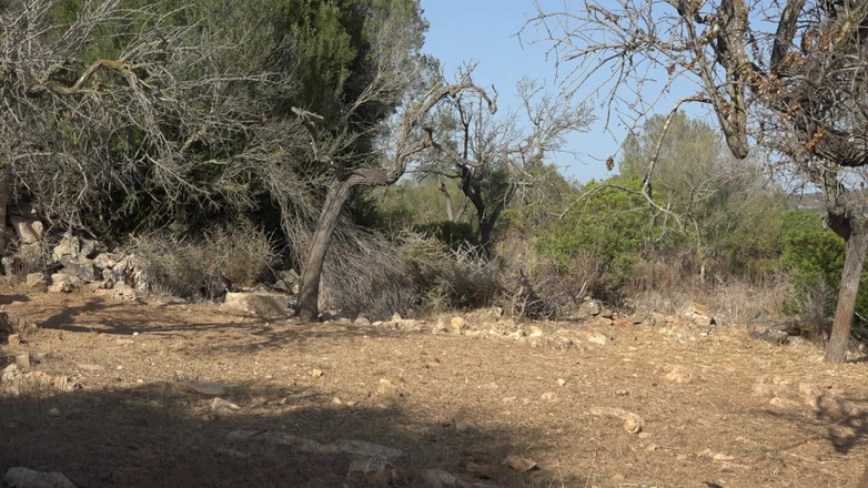 Deutsche Omas: Memek cewek nakal dientot dari belakang sambil nyepong kontol besar...