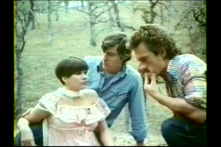 Bisco Birchwood Productions: Piersici drăguțe