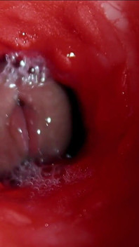 A Big Beautiful Cock Flows Abundantly Inside a Wet Slippery Hole and Smacks!
