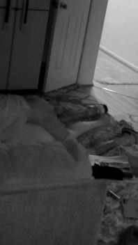 Vakna upp Ms. Cheryl Pt. 2