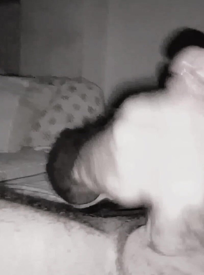 Alicante Wild: 玩弄我的鸡巴。享受