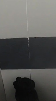 Ebony Teen Getting Fucked in a Host Shower