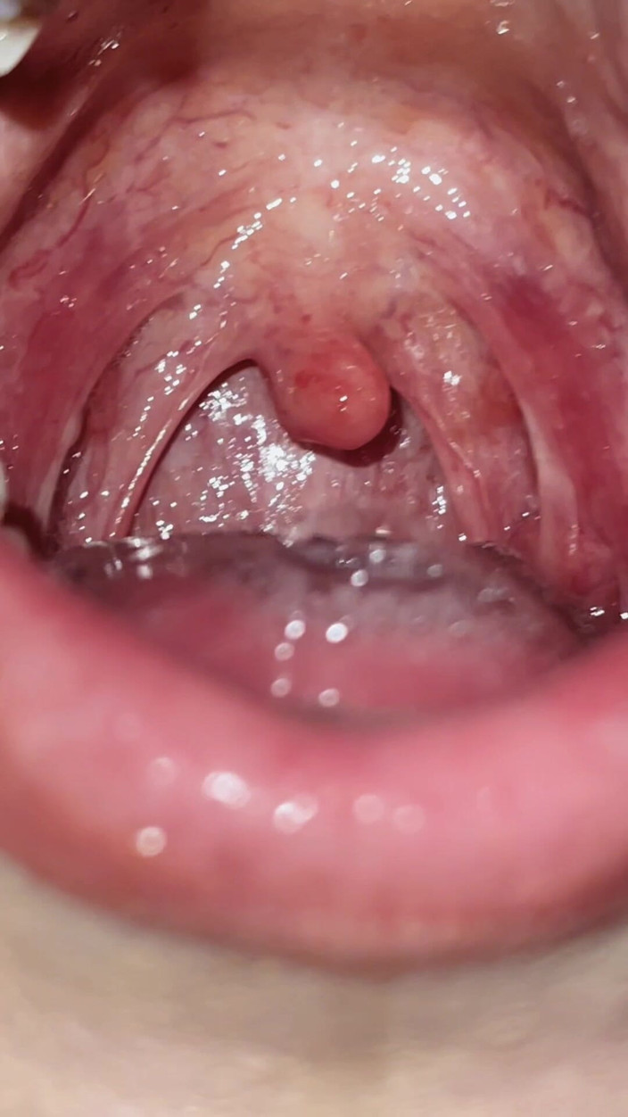 Sultry Silvea: 섹시한 Silvea 입 투어