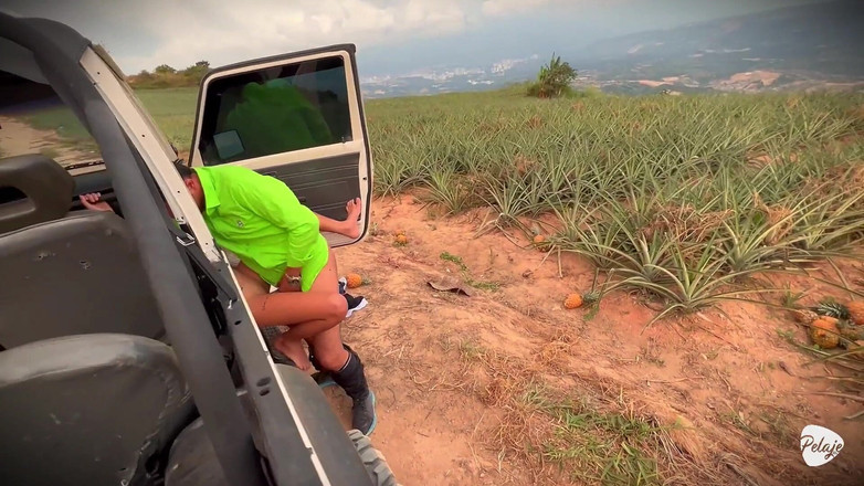 Pelaje mix: Eine bäuerin wollte Ananas ernten und er pflanzte Cassava in...