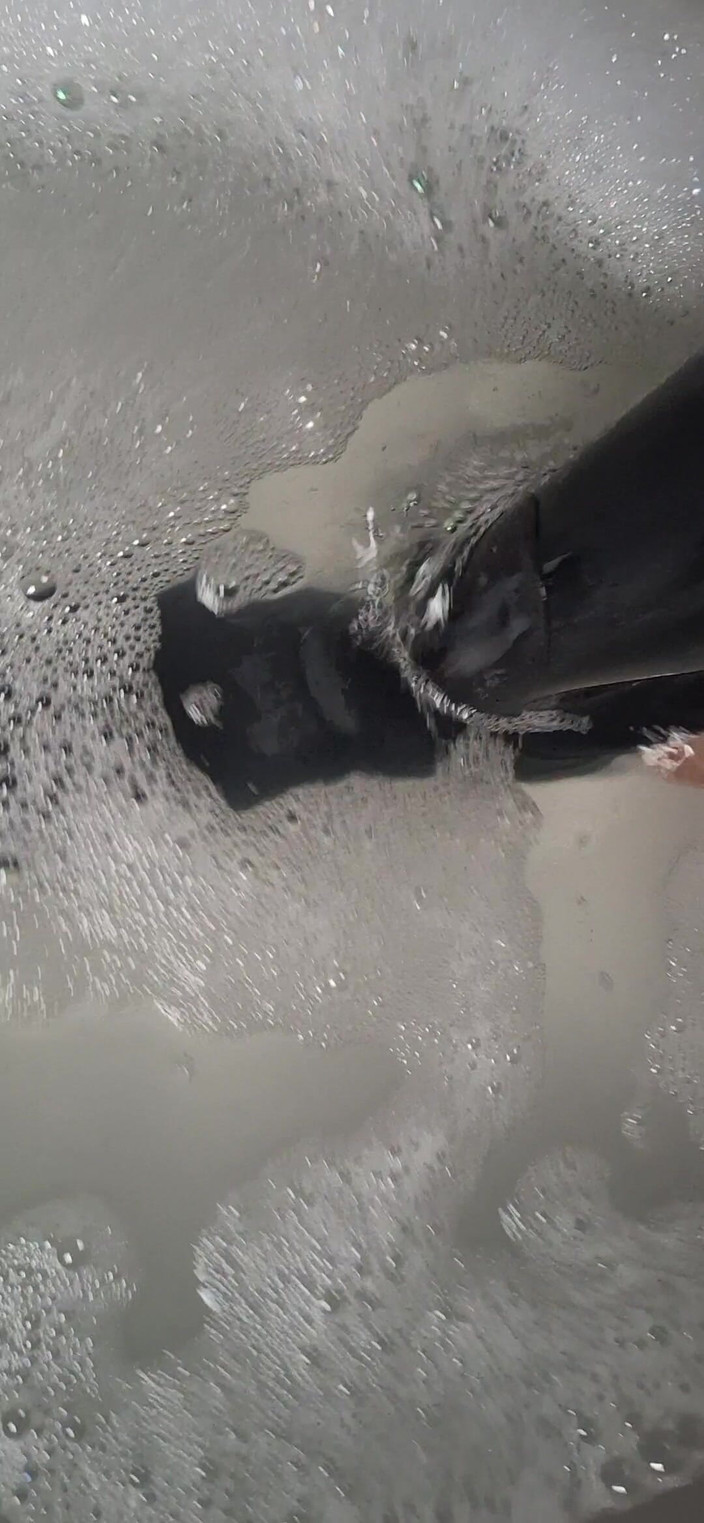 Dreamofevolution: Astăzi este ziua de baie una dintre