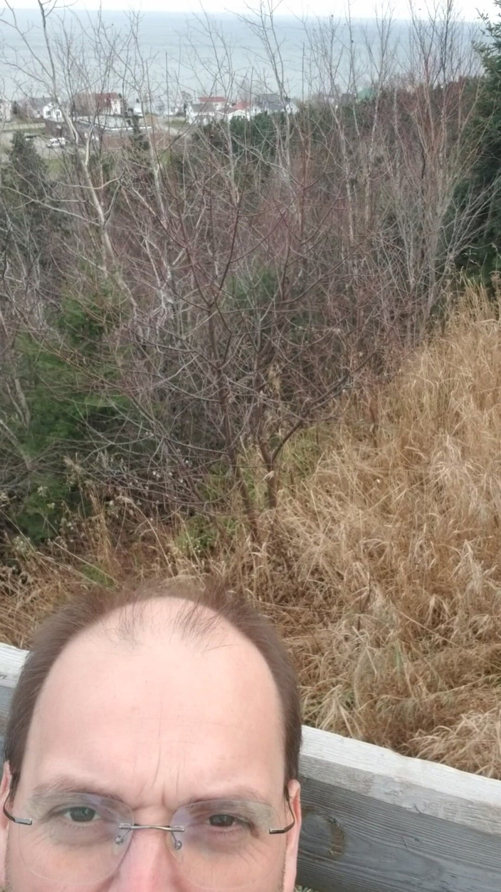 Woulf: Présentation - 1