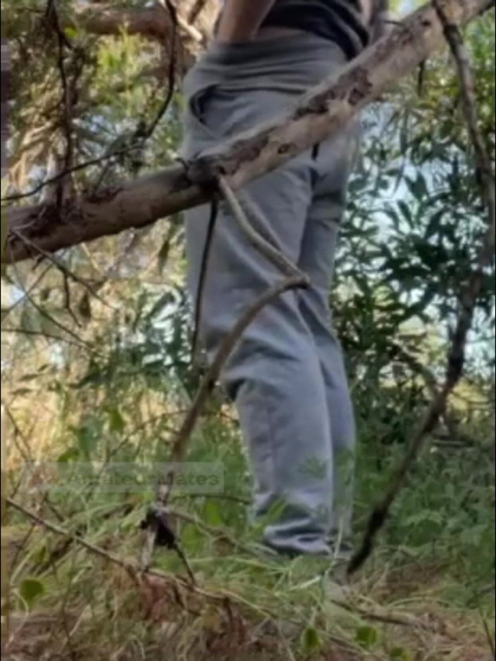 AmateurMates: Hot Amateur Boy Sucks and Rims in the Woods