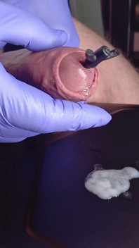 A Gay Dream Comes True, a Dilator in the Devil's Hands