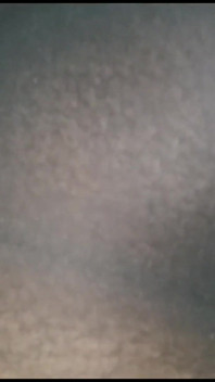 Mexican Girl With Perfect Ass Sucking