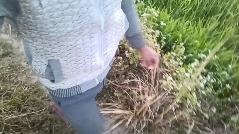 HotboyIndian: Meine college-freunde