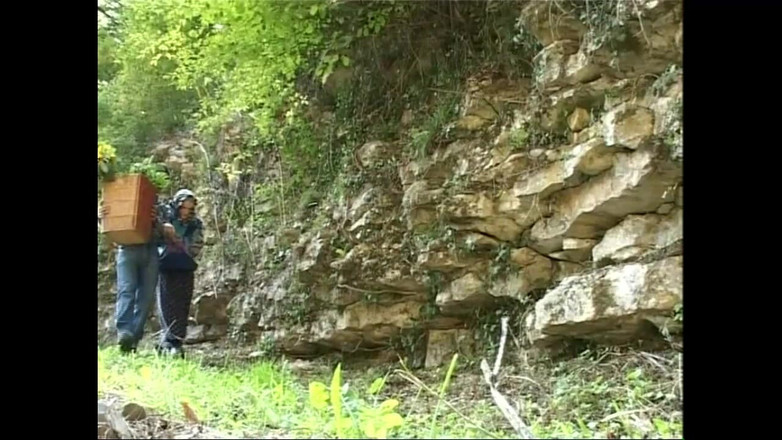 Xtime Network: Busty MILF and Busty Teen Fucked by Old Pigs with...