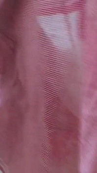Desi Stepmom & Stepson