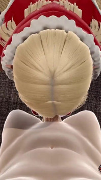 Vánoční elf dělá hottes kouření pro velkého čůráka na posteli 3D animace porno