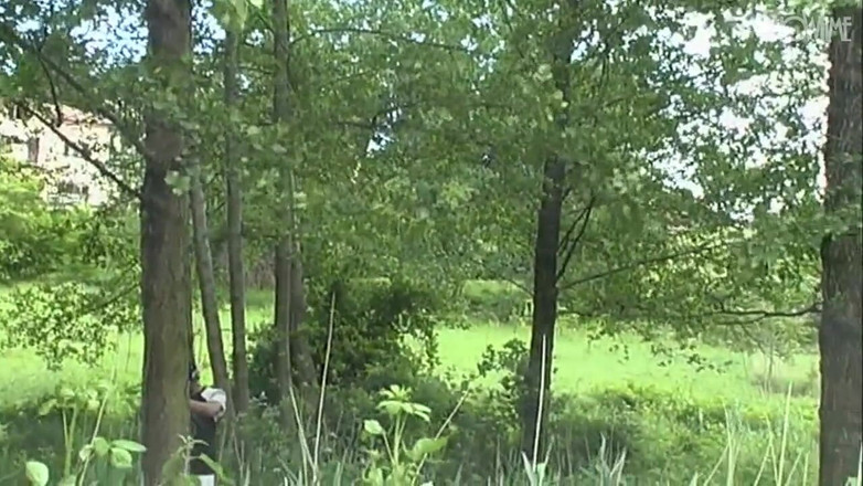 Showtime Official: Vreau să mă uit - videoclip italian restaurat în HD