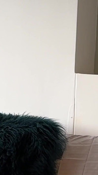 Dolce Bella Watcher Cam