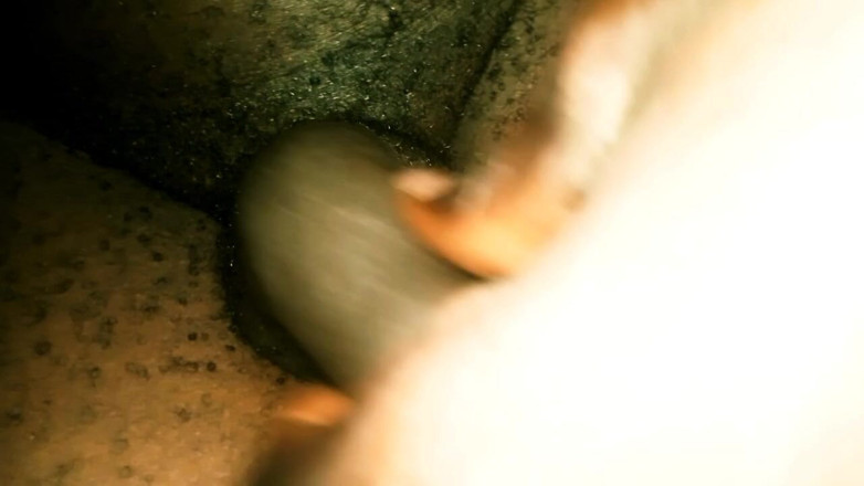 Judith xxx: Ejaculation 358