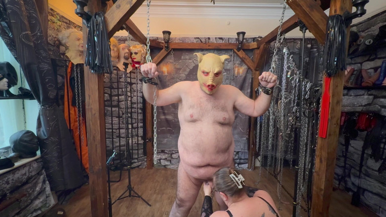 Aaexperiencesltd: Parte 1: Il maialino di Satana è tornato in città per un...