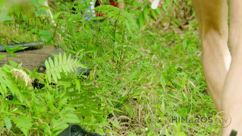 Himeros.tv: Bondage dans la jungle