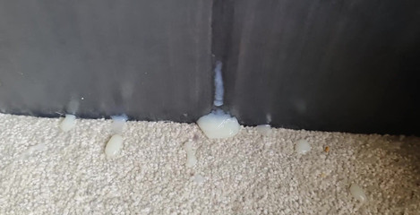 Amadeus: È l'ora d'essere nutrita, chi ha fame!!