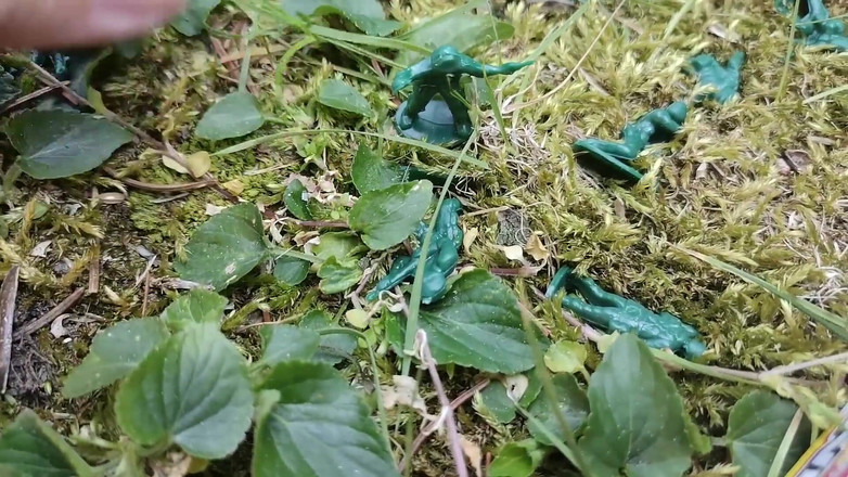 Nicoletta Embassi: 이 거대한 부츠로 정원에서 수축된 병사들을 분쇄하는 거인들