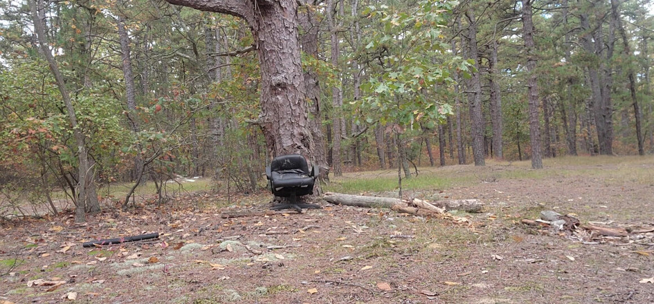 Fat boy: Yet some more woods