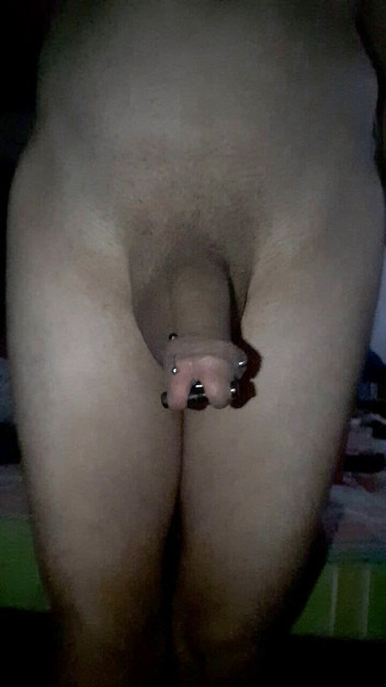 Renoreis