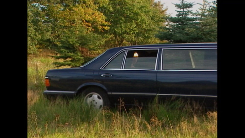 Deutschland Porno X: Kelly Trump trong phim Bad Girls