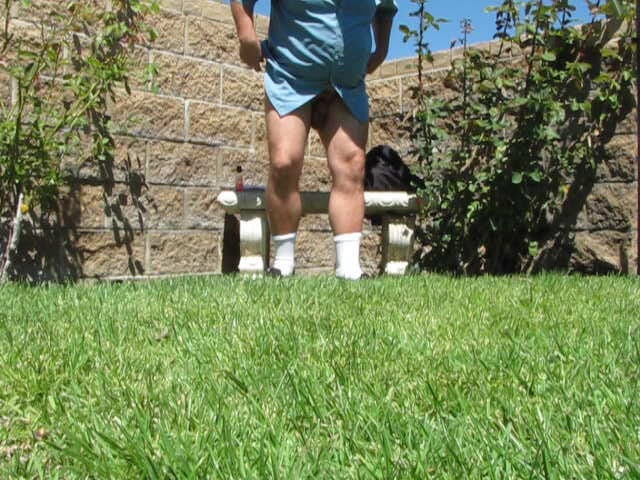 The porky pervert: Outdoor-park wichsen 4