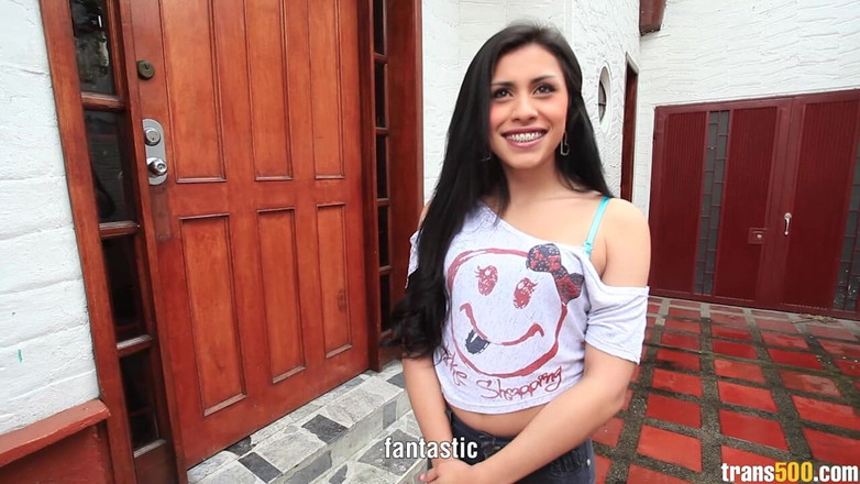 Trans 500: Ms. Pink最爱玩东西