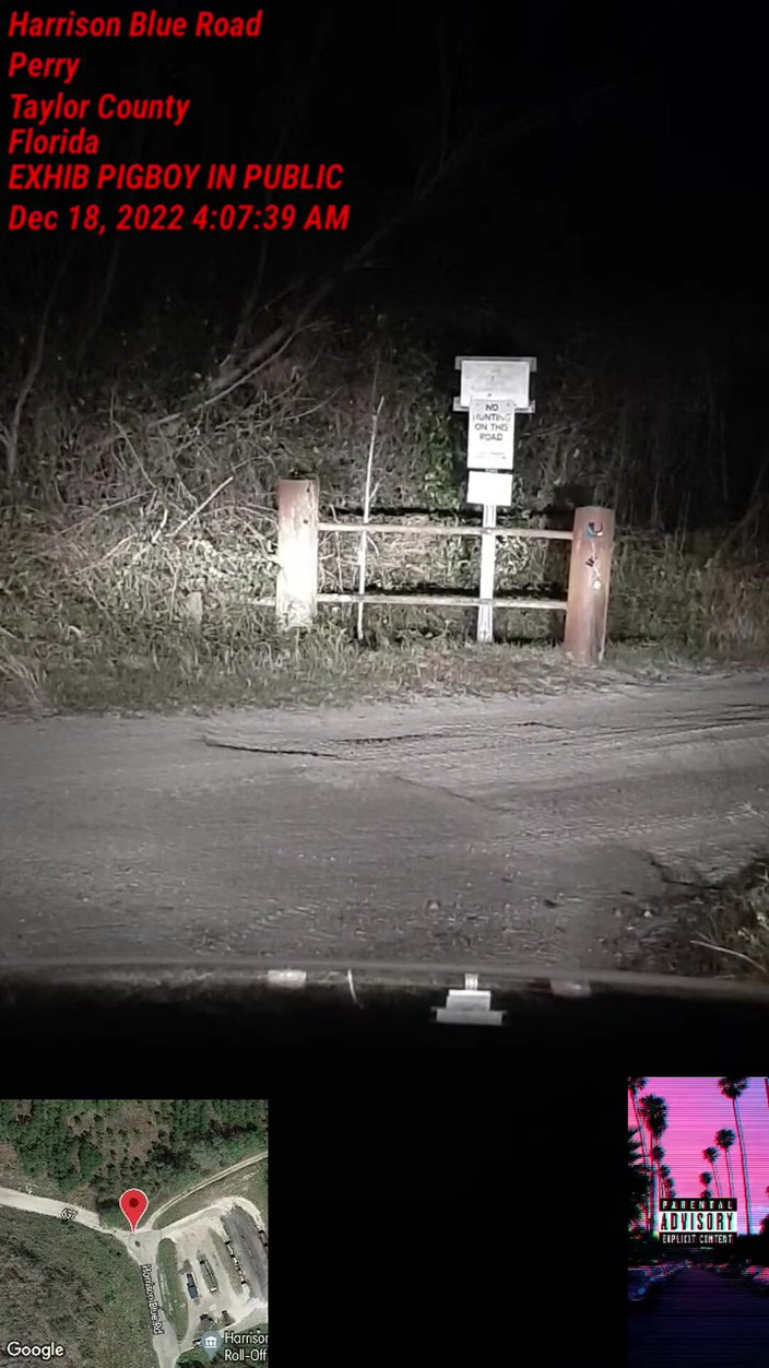 Exhib guy: Spogliarello pubblico, strappo e piscio all'impianto di riciclo