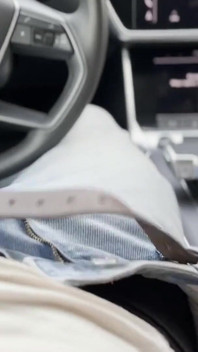 A Hitchhiker Plays with the Driver in the Front Seat