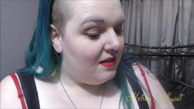 Mxtress Valleycat: タイガープラグをオパライトプラグにアップサイジング