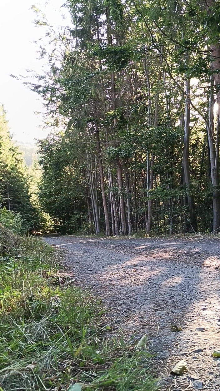 kickerscooter: Il motociclista dello scooter si masturba all'aperto