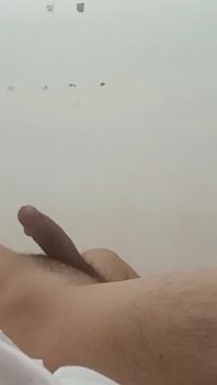 My Brother-in-law's Masturbated
