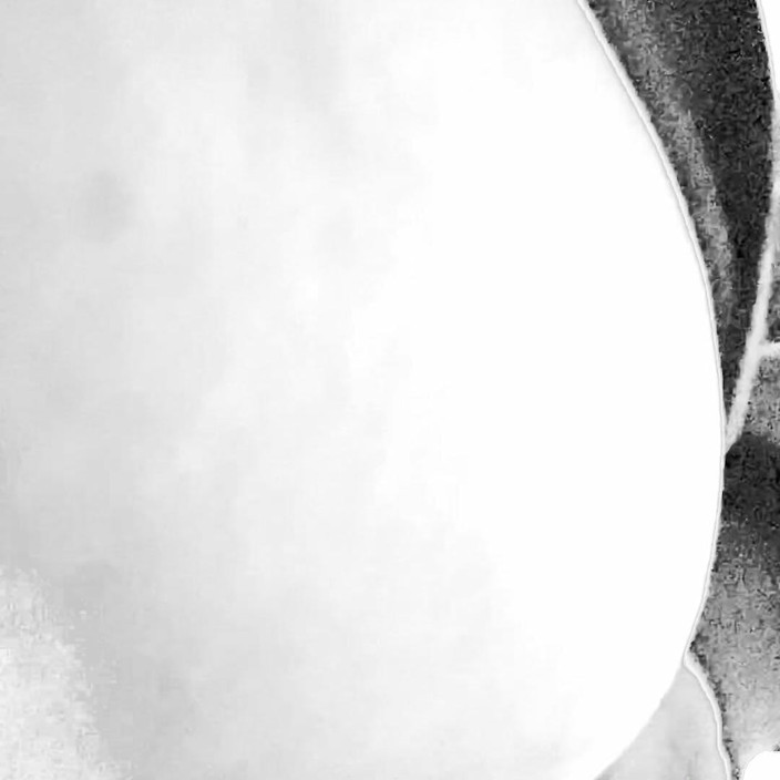 DnA: Un dildo nel culo grosso