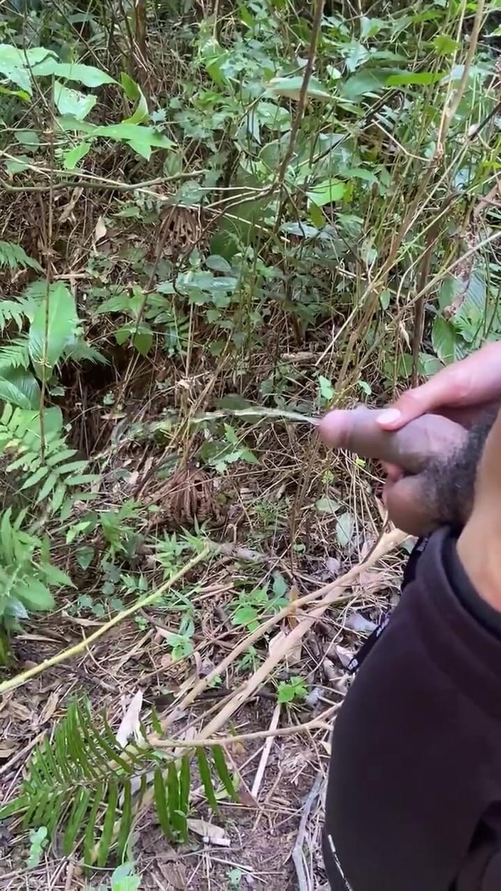 Vida Noite: Kencing dengan penuh gairah di jalan setapak