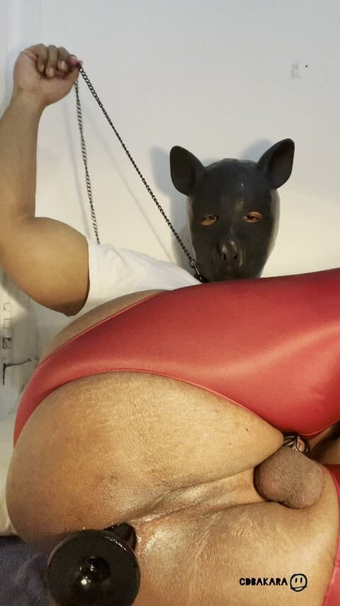 Xana_cd: 白痴的自慰（白痴手淫）最后被狠操，对着混蛋撸管是最好的感觉...