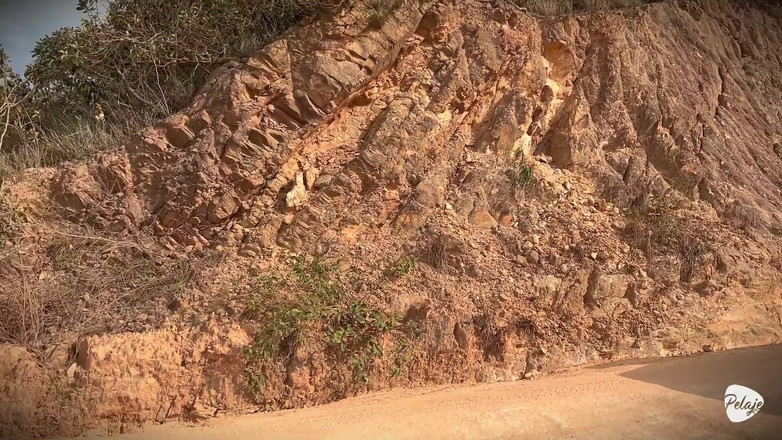 Pelaje mix: Een boerin wilde Indisch poesje oogsten en in plaats daarvan...