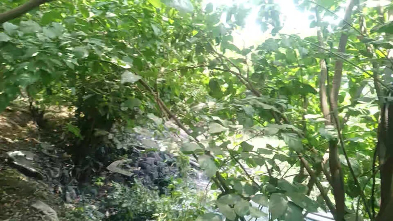 Fucklife_360: Desi onani