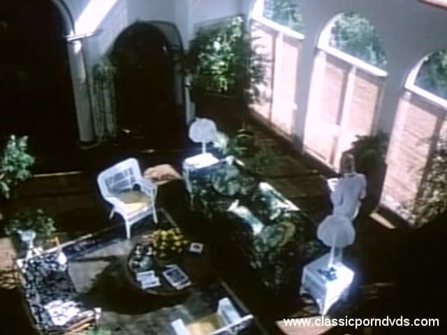 Classic Porn DVDs: Klasické porno DVD Marilyn Chambers Nenasytná P