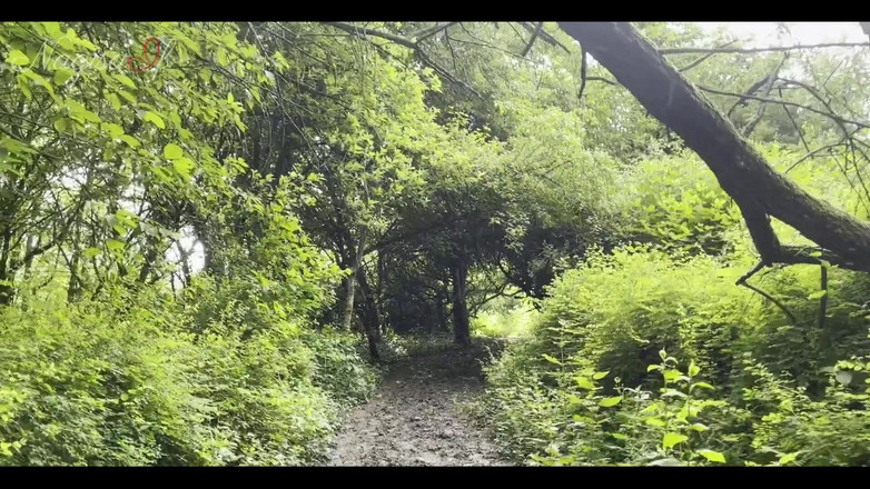 NagisaIf: Blog Perjalanan Baru! Kali ini kami pergi ke kastil dan...