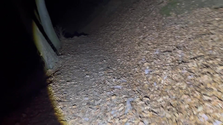 Putarankahotmilf: Escursioni notturne e asporto la maggior parte dei miei vestiti