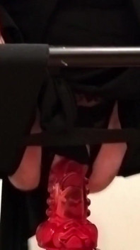 The Dragon's Penis