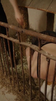 Pigsty extreme Schweinestall extrem