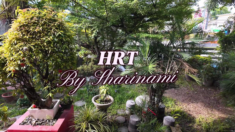 AsianSharinami: She Checked Into a Discreet Apartelle in the Philippines | Hotel...