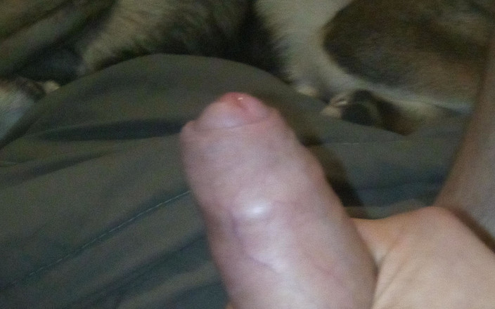 Beauvaiscum: 자위 모음집