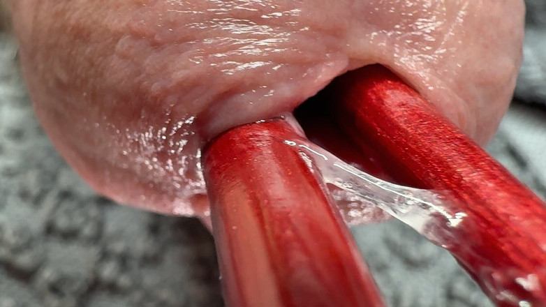 Leonardo-1974: Thâm nhập dương vật