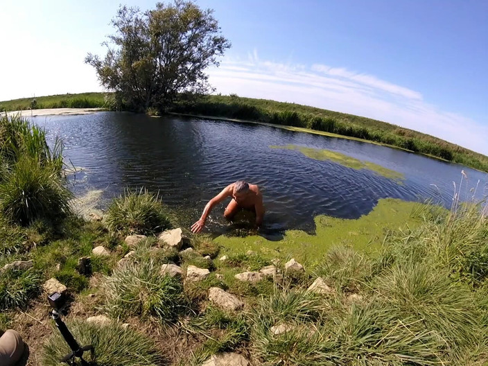 Andy: Parte 2, paseo 49