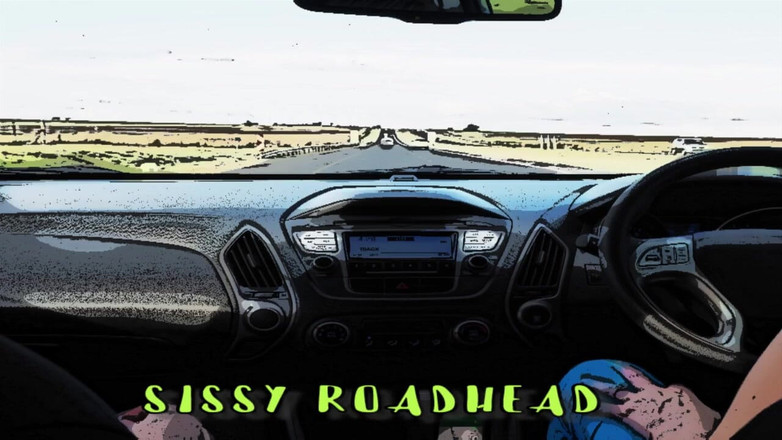 Campsissyboi: Brandy l'homo trans se casse dans une tapette roadhead